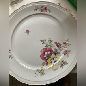 Bavarian 4  10” dinner plates from the US Zone in Germany 1930’s 🌺❤️